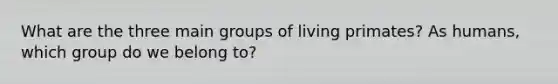 What are the three main groups of living primates? As humans, which group do we belong to?