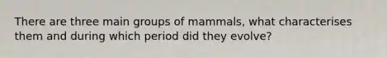 There are three main groups of mammals, what characterises them and during which period did they evolve?