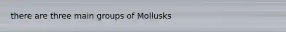 there are three main groups of Mollusks