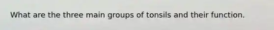 What are the three main groups of tonsils and their function.