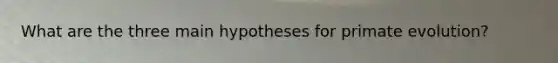 What are the three main hypotheses for primate evolution?