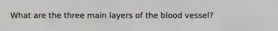 What are the three main layers of the blood vessel?