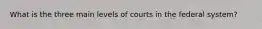 What is the three main levels of courts in the federal system?