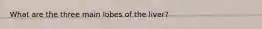 What are the three main lobes of the liver?
