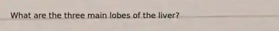 What are the three main lobes of the liver?