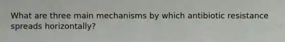 What are three main mechanisms by which antibiotic resistance spreads horizontally?