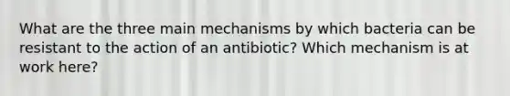 What are the three main mechanisms by which bacteria can be resistant to the action of an antibiotic? Which mechanism is at work here?