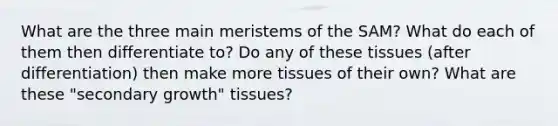 What are the three main meristems of the SAM? What do each of them then differentiate to? Do any of these tissues (after differentiation) then make more tissues of their own? What are these "secondary growth" tissues?