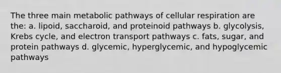 The three main metabolic pathways of <a href='https://www.questionai.com/knowledge/k1IqNYBAJw-cellular-respiration' class='anchor-knowledge'>cellular respiration</a> are the: a. lipoid, saccharoid, and proteinoid pathways b. glycolysis, <a href='https://www.questionai.com/knowledge/kqfW58SNl2-krebs-cycle' class='anchor-knowledge'>krebs cycle</a>, and electron transport pathways c. fats, sugar, and protein pathways d. glycemic, hyperglycemic, and hypoglycemic pathways