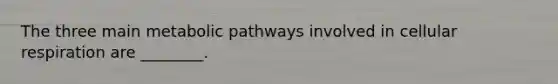 The three main metabolic pathways involved in <a href='https://www.questionai.com/knowledge/k1IqNYBAJw-cellular-respiration' class='anchor-knowledge'>cellular respiration</a> are ________.