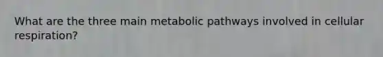 What are the three main metabolic pathways involved in <a href='https://www.questionai.com/knowledge/k1IqNYBAJw-cellular-respiration' class='anchor-knowledge'>cellular respiration</a>?