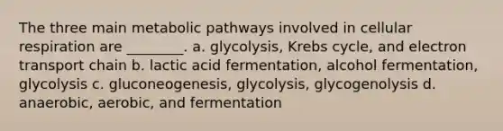 The three main metabolic pathways involved in cellular respiration are ________. a. glycolysis, Krebs cycle, and electron transport chain b. lactic acid fermentation, alcohol fermentation, glycolysis c. gluconeogenesis, glycolysis, glycogenolysis d. anaerobic, aerobic, and fermentation