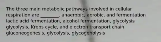 The three main metabolic pathways involved in cellular respiration are ________. anaerobic, aerobic, and fermentation lactic acid fermentation, alcohol fermentation, glycolysis glycolysis, Krebs cycle, and electron transport chain gluconeogenesis, glycolysis, glycogenolysis