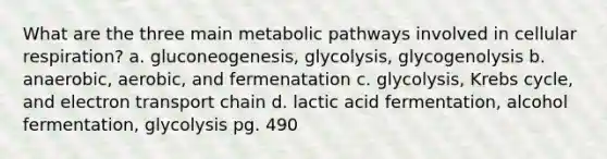 What are the three main metabolic pathways involved in <a href='https://www.questionai.com/knowledge/k1IqNYBAJw-cellular-respiration' class='anchor-knowledge'>cellular respiration</a>? a. gluconeogenesis, glycolysis, glycogenolysis b. anaerobic, aerobic, and fermenatation c. glycolysis, <a href='https://www.questionai.com/knowledge/kqfW58SNl2-krebs-cycle' class='anchor-knowledge'>krebs cycle</a>, and electron transport chain d. lactic acid fermentation, alcohol fermentation, glycolysis pg. 490