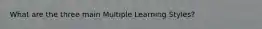 What are the three main Multiple Learning Styles?