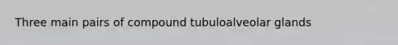 Three main pairs of compound tubuloalveolar glands