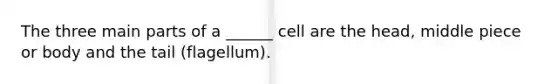 The three main parts of a ______ cell are the head, middle piece or body and the tail (flagellum).