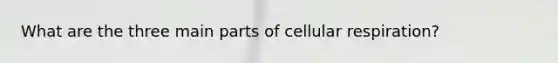 What are the three main parts of cellular respiration?