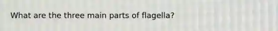 What are the three main parts of flagella?