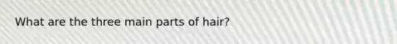 What are the three main parts of hair?