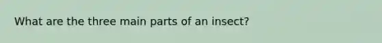 What are the three main parts of an insect?