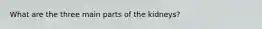 What are the three main parts of the kidneys?