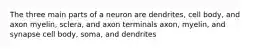 The three main parts of a neuron are dendrites, cell body, and axon myelin, sclera, and axon terminals axon, myelin, and synapse cell body, soma, and dendrites