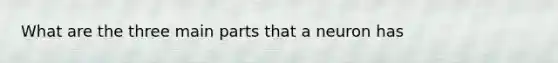 What are the three main parts that a neuron has