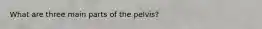 What are three main parts of the pelvis?