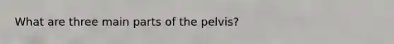 What are three main parts of the pelvis?