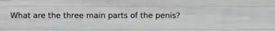 What are the three main parts of the penis?