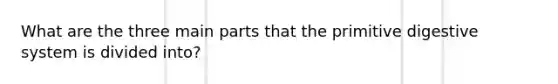 What are the three main parts that the primitive digestive system is divided into?