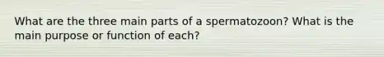 What are the three main parts of a spermatozoon? What is the main purpose or function of each?