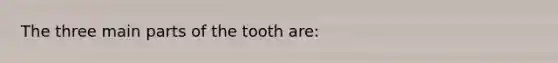 The three main parts of the tooth are: