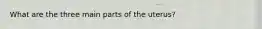 What are the three main parts of the uterus?