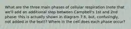 What are the three main phases of cellular respiration (note that we'll add an additional step between Campbell's 1st and 2nd phase: this is actually shown in diagram 7.6, but, confusingly, not added in the text)? Where in the cell does each phase occur?