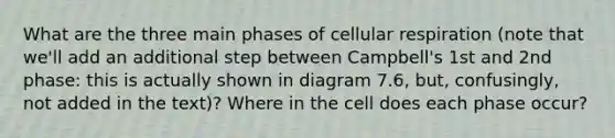 What are the three main phases of cellular respiration (note that we'll add an additional step between Campbell's 1st and 2nd phase: this is actually shown in diagram 7.6, but, confusingly, not added in the text)? Where in the cell does each phase occur?