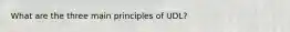 What are the three main principles of UDL?