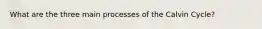 What are the three main processes of the Calvin Cycle?