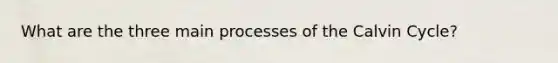 What are the three main processes of the Calvin Cycle?