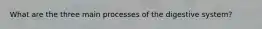 What are the three main processes of the digestive system?