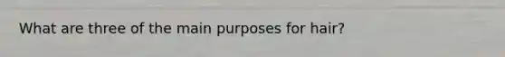 What are three of the main purposes for hair?