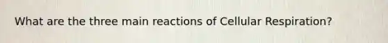 What are the three main reactions of Cellular Respiration?