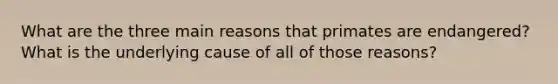 What are the three main reasons that primates are endangered? What is the underlying cause of all of those reasons?