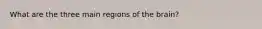 What are the three main regions of the brain?