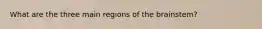 What are the three main regions of the brainstem?