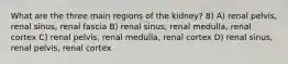 What are the three main regions of the kidney? 8) A) renal pelvis, renal sinus, renal fascia B) renal sinus, renal medulla, renal cortex C) renal pelvis, renal medulla, renal cortex D) renal sinus, renal pelvis, renal cortex