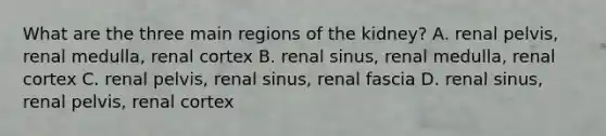 What are the three main regions of the kidney? A. renal pelvis, renal medulla, renal cortex B. renal sinus, renal medulla, renal cortex C. renal pelvis, renal sinus, renal fascia D. renal sinus, renal pelvis, renal cortex