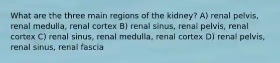 What are the three main regions of the kidney? A) renal pelvis, renal medulla, renal cortex B) renal sinus, renal pelvis, renal cortex C) renal sinus, renal medulla, renal cortex D) renal pelvis, renal sinus, renal fascia