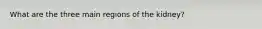 What are the three main regions of the kidney?